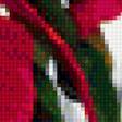 Предпросмотр схемы вышивки «комнатный цветок пуансетия» (№2381715)