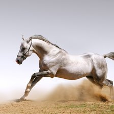 Схема вышивки «Лошадь бежит»