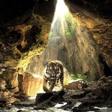 Схема вышивки «Тигровая пещера»