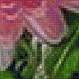 Предпросмотр схемы вышивки «Хризантемы» (№2387352)
