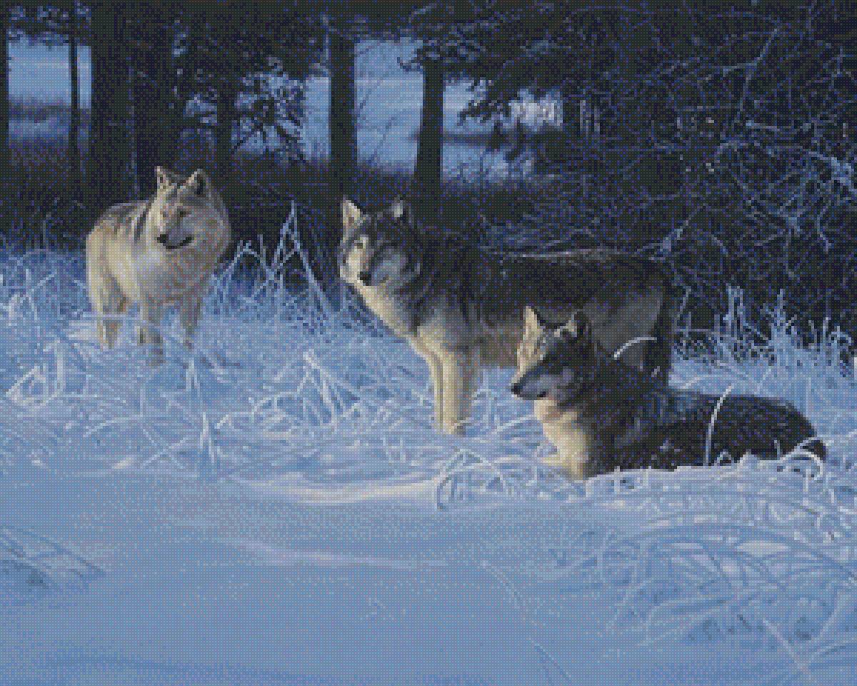 Картина волки в зимнем лесу - волки, зимний лес, картина - предпросмотр