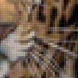 Предпросмотр схемы вышивки «Южноафриканский ягуар» (№2389914)