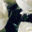 Предпросмотр схемы вышивки «Белые розы в вазе» (№2391085)