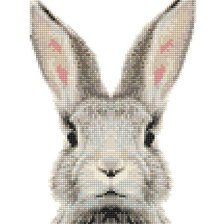 Схема вышивки «Кролик»