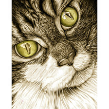 Схема вышивки «Графический портрет кота»