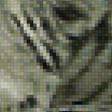 Предпросмотр схемы вышивки «Белый тигр» (№2394415)