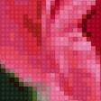 Предпросмотр схемы вышивки «тюлпаны розовые» (№2405173)