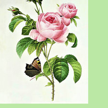 Оригинал схемы вышивки «Серия "Розы"» (№2410403)