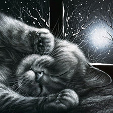 Схема вышивки «Спящая кошка»