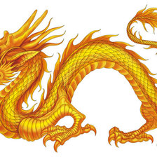Схема вышивки «китайский дракон»