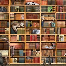 Схема вышивки «Книг и кошек много не бывает»