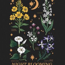 Оригинал схемы вышивки «Цветы ночи» (№2443623)