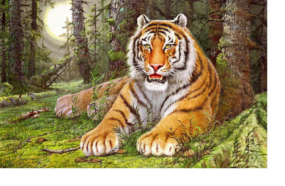 Серия "Хищники" - хищники, тигр, животные - оригинал