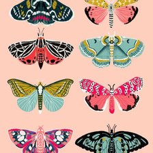 Оригинал схемы вышивки «Бабочки» (№2444797)