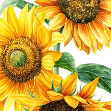 Оригинал схемы вышивки «Цветы солнца» (№2456295)