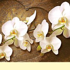 Оригинал схемы вышивки «Серия "Цветы". Орхидеи» (№2459806)