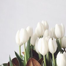 Оригинал схемы вышивки «Белые тюльпаны» (№2477784)