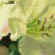 Предпросмотр схемы вышивки «Цветы в вазе» (№2486961)