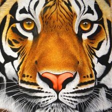 Схема вышивки «подушка Тигр»