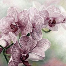 Схема вышивки «Орхидеи»
