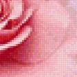 Предпросмотр схемы вышивки «Розы» (№2493555)