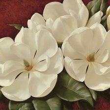 Оригинал схемы вышивки «magnolia» (№2493573)