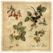 Оригинал схемы вышивки «Ботаника» (№2494982)
