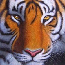 Схема вышивки «подушка Тигр»