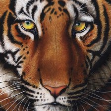 подушка Тигр