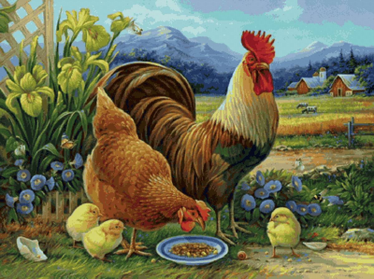 петух, курица, цыплята, природа, цветы - цветы, природа, петух, курица, цыплята - предпросмотр