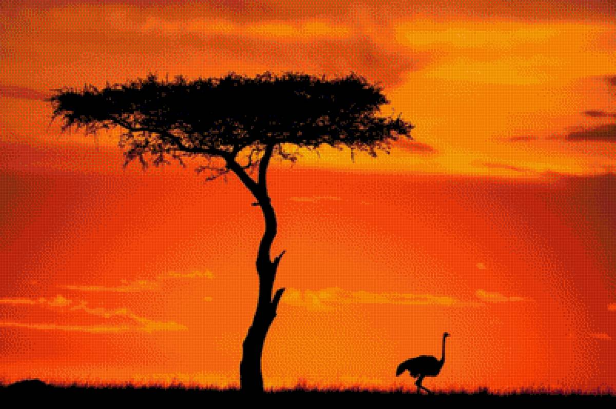 Африка - страус, природа, африка, дерево - предпросмотр