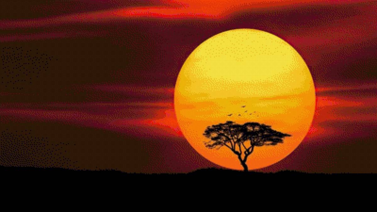 Африка - природаб закат, африка, дерево, солнце - предпросмотр