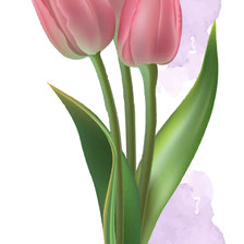 Схема вышивки «Tulipanes»
