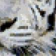 Предпросмотр схемы вышивки «Тигры» (№2516434)