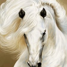 Схема вышивки «Грация. Белая лошадь»