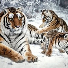 Оригинал схемы вышивки «Тигры» (№2525852)