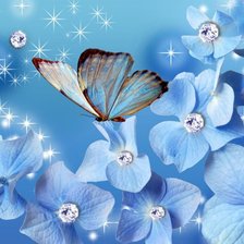 Оригинал схемы вышивки «Бабочки на цветах» (№2530057)