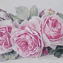 Оригинал схемы вышивки «Розы» (№2533871)