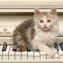 Схема вышивки «Котёнок на пианино»