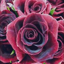 Схема вышивки «Бархатная роза»