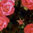 Предпросмотр схемы вышивки «Куст вьющейся розы» (№2541104)