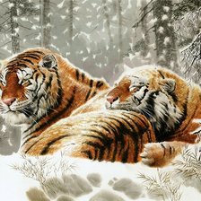 Оригинал схемы вышивки «Тигры на отдыхе» (№2545339)