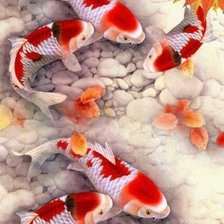 Схема вышивки «Японские рыбки»