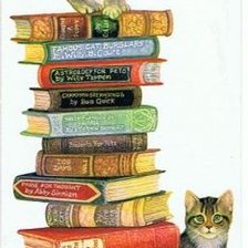 Схема вышивки «Котики и книги»