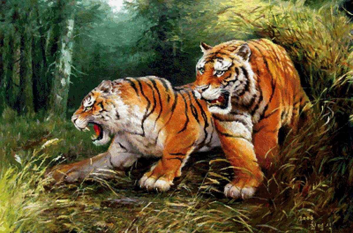 №2555052 - животные, тигры, природа - предпросмотр
