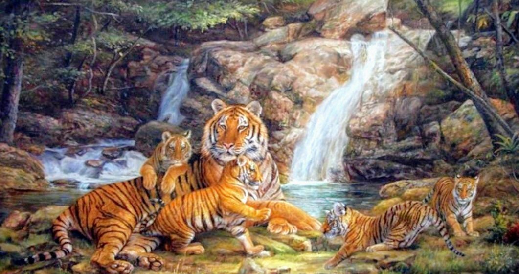 №2555097 - природа, животные, тигры - оригинал