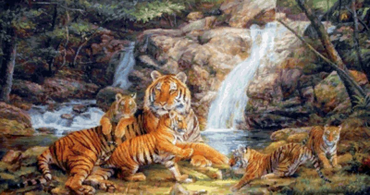 №2555097 - природа, животные, тигры - предпросмотр