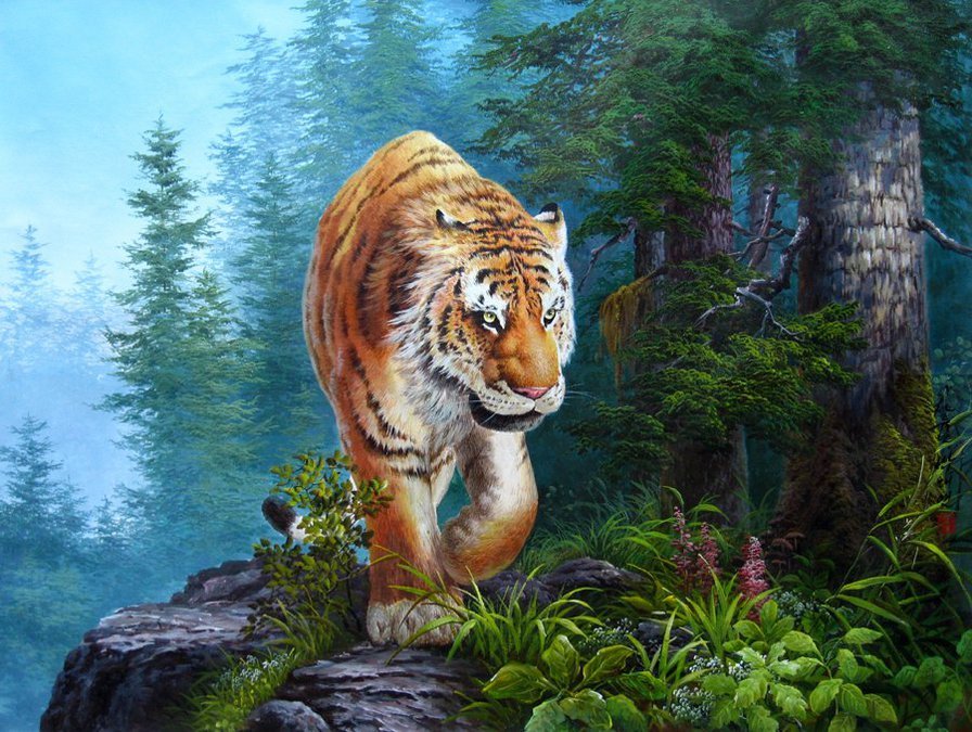 №2555116 - тигры, животные, природа - оригинал