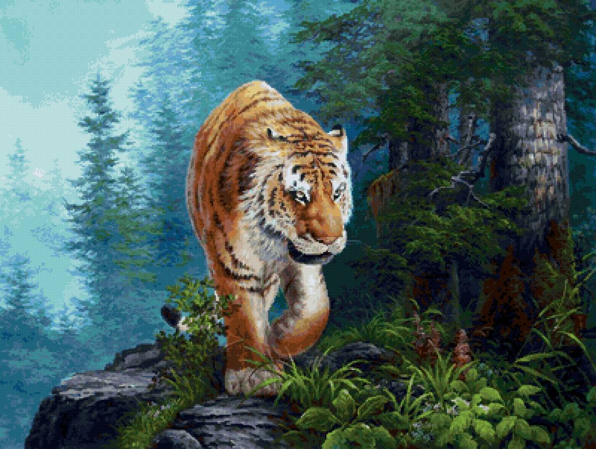 №2555116 - животные, природа, тигры - предпросмотр