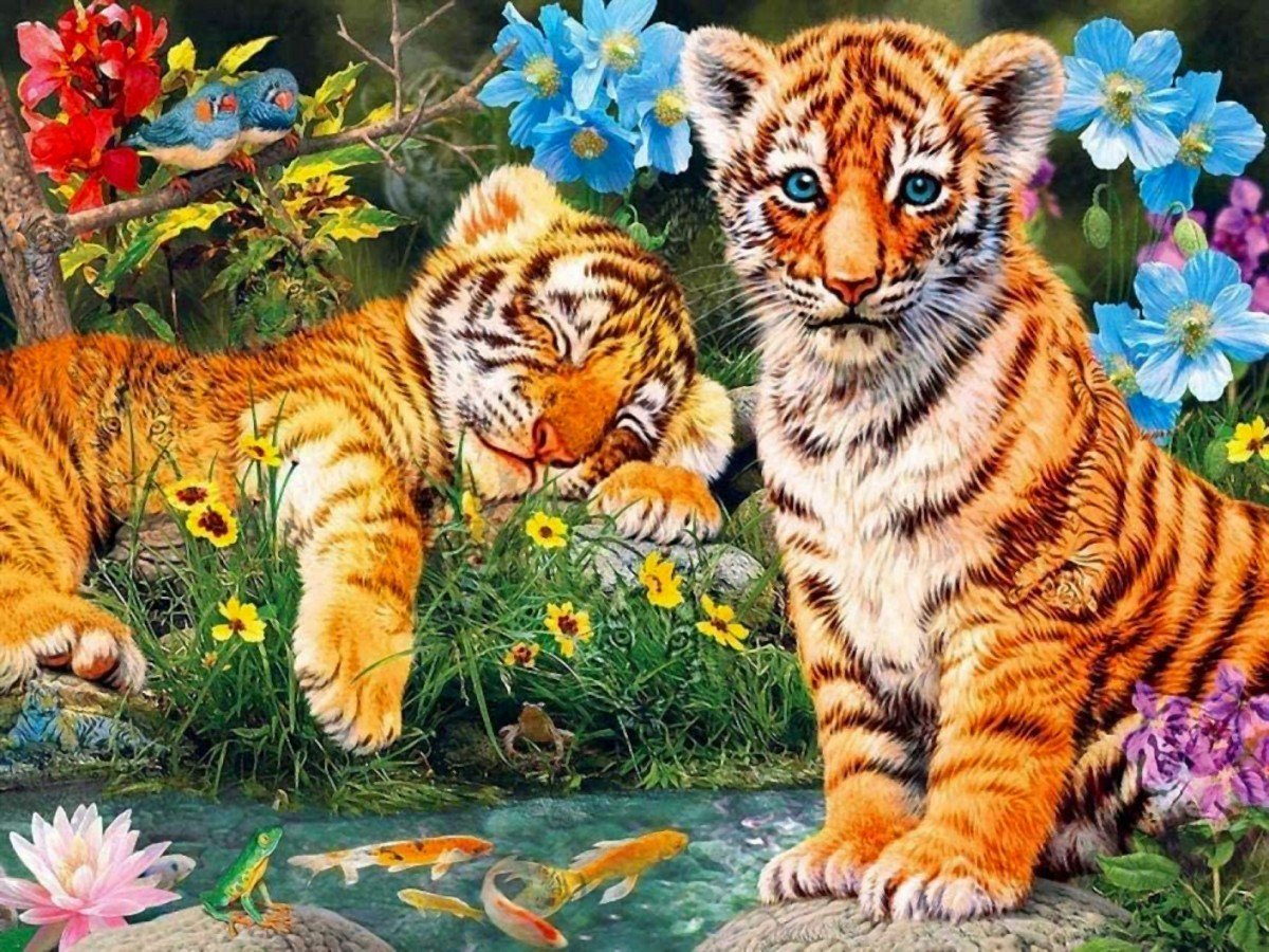 №2558222 - животные, природа, тигры - оригинал